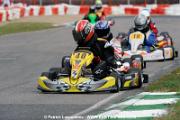 _DSC4692 copie